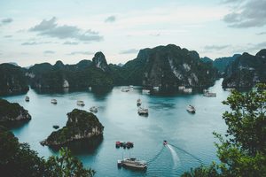 Jonque traditionnelle naviguant sur les eaux émeraude de la baie d'Halong