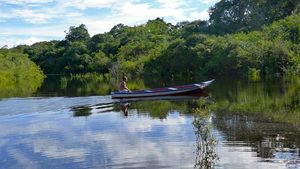Pirogue naviguant sur un bras de fleuve amazonien entouré de forêt dense