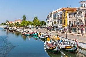 Les bateaux traditionnels moliceiros naviguant sur le canal central d'Aveiro