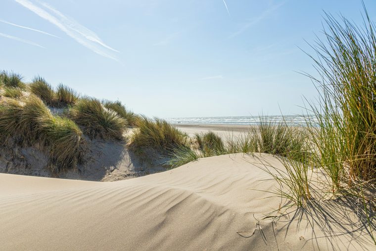 Les prés salés de la Baie de Somme à marée basse