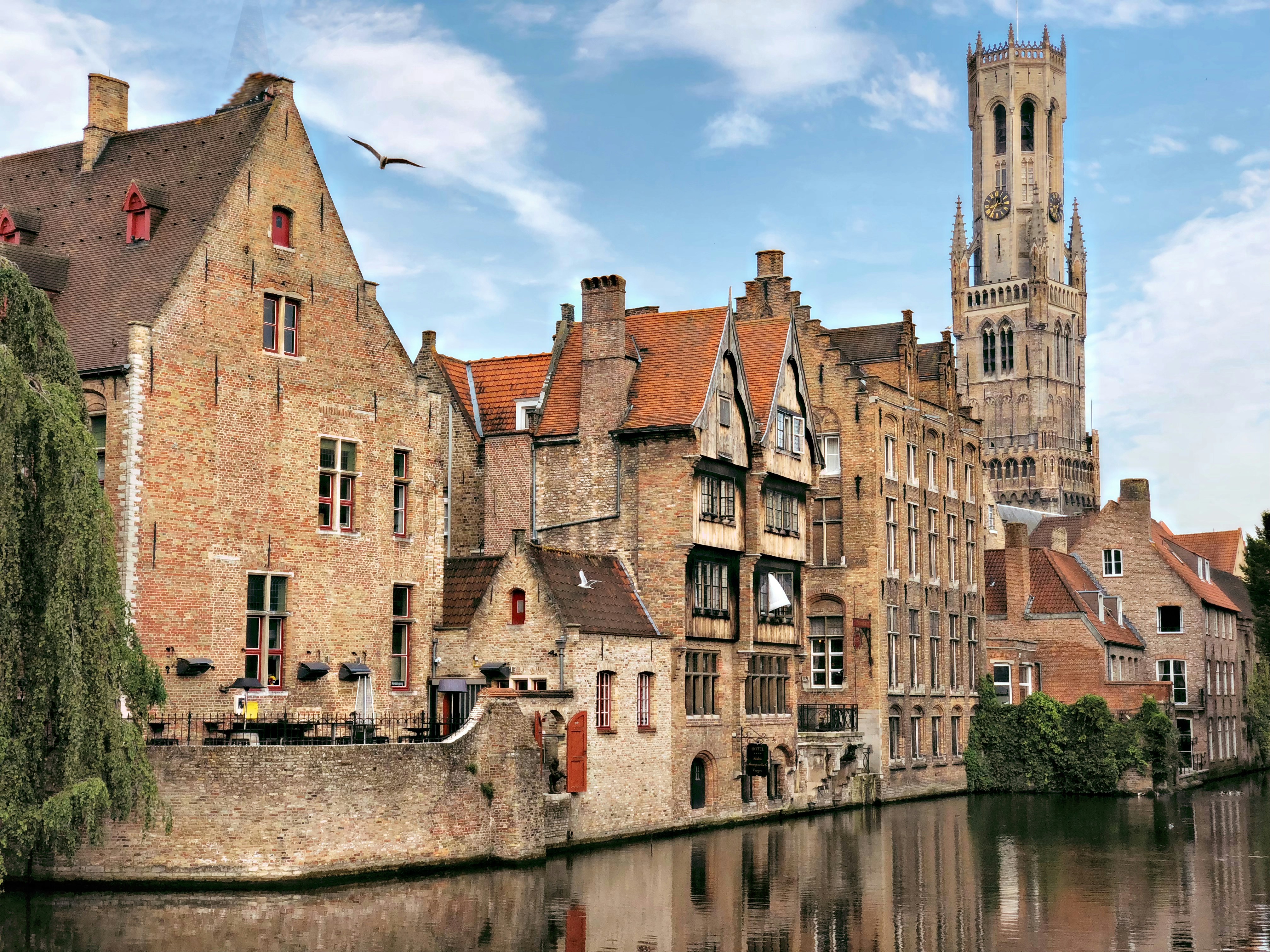 Les façades flamandes en briques et le beffroi se reflétant dans l'eau d'un canal à Bruges