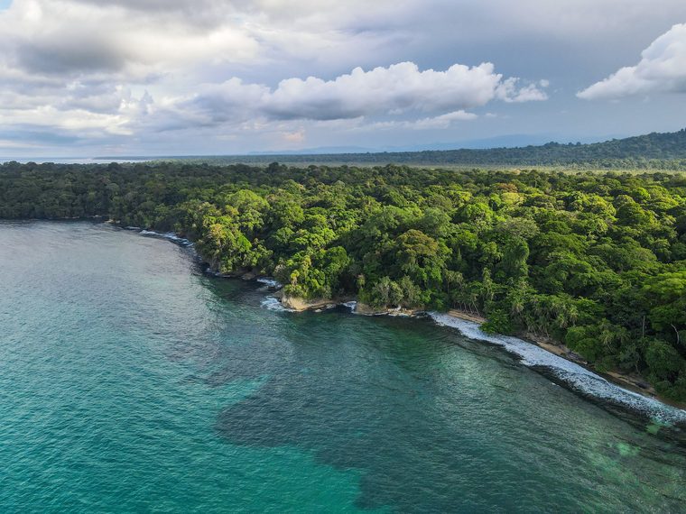 Le sentier côtier du parc national Cahuita bordé par la jungle et la mer des Caraïbes