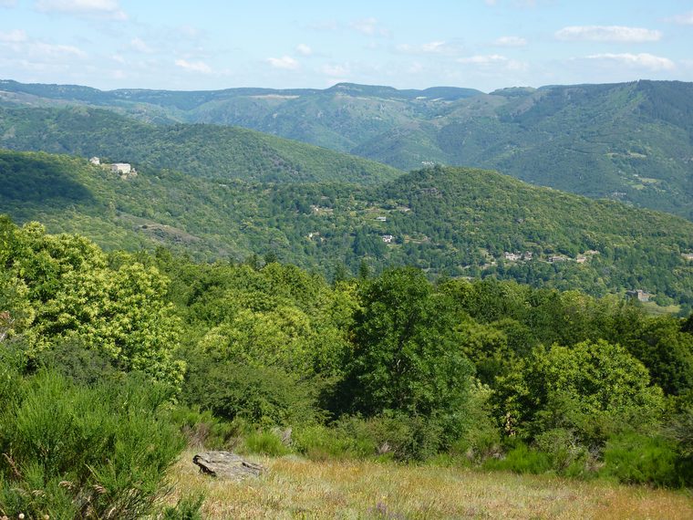 Vue panoramique sur les vallées verdoyantes et les crêtes des Cévennes
