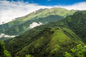 Vue sur les collines verdoyantes des Yungas depuis Coroico