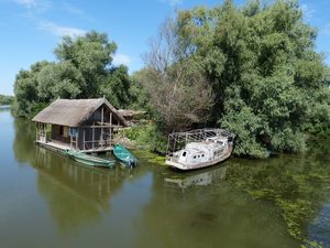 Un petit bateau glissant sur un canal étroit bordé de roseaux dans le delta du Danube