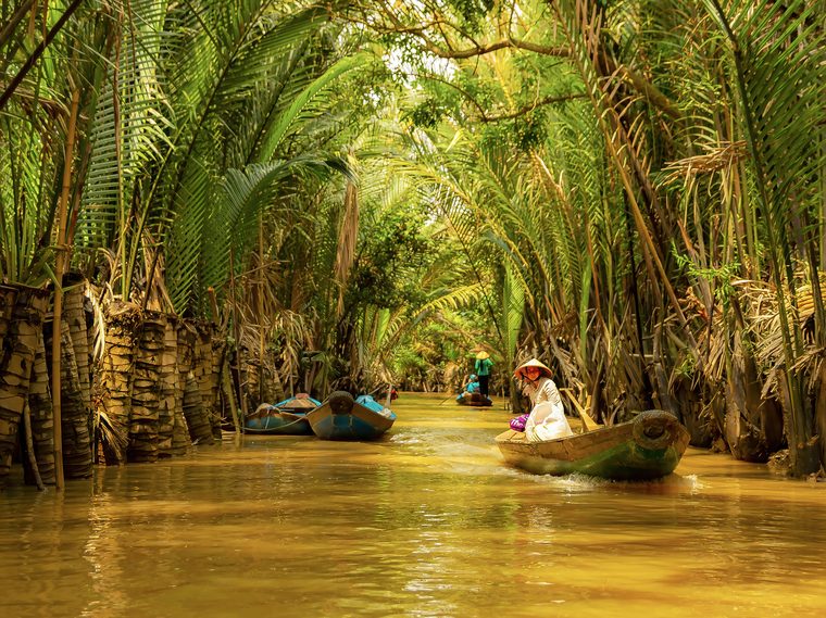 Barque traditionnelle naviguant sur un petit canal bordé de palmiers d'eau dans le delta du Mékong
