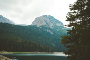 Le Lac Noir (Crno Jezero) entouré de pins et les sommets du Durmitor en arrière-plan
