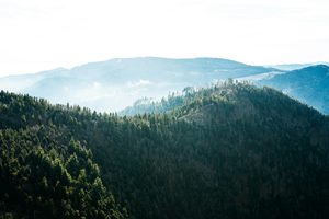 Un village traditionnel à colombages niché au cœur des sapins de la Forêt-Noire