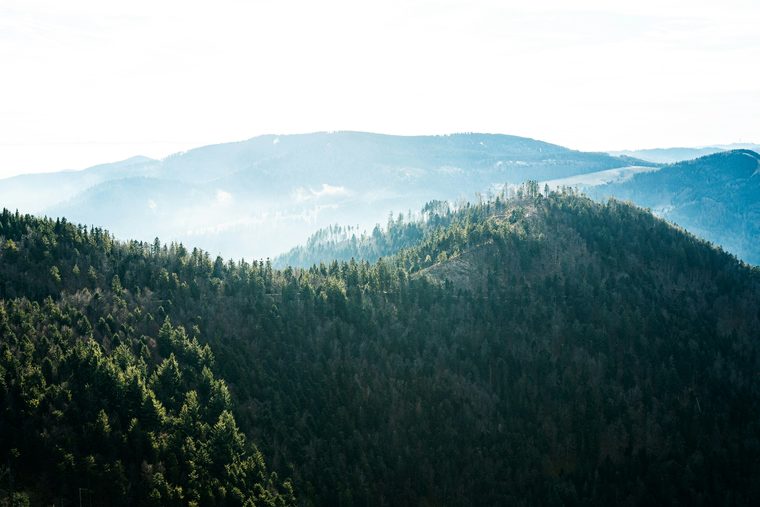 Un village traditionnel à colombages niché au cœur des sapins de la Forêt-Noire