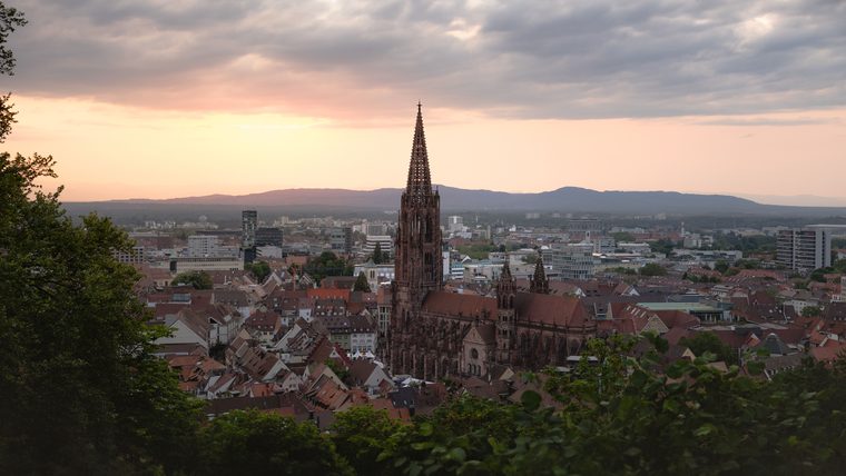 La cathédrale de Fribourg et les toits de la vieille ville depuis le Schlossberg