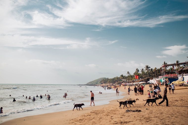 Plage bordée de palmiers et église blanche coloniale à Goa