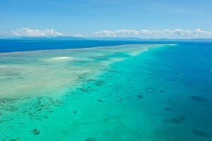 Vue aérienne des récifs coralliens de la Grande Barrière au large du Queensland