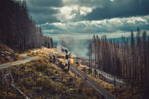 Le train à vapeur du Brocken traversant la forêt du Harz