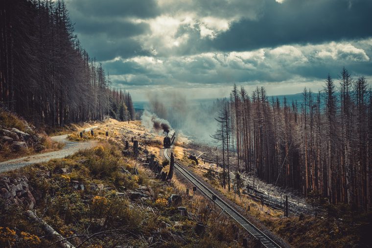 Le train à vapeur du Brocken traversant la forêt du Harz