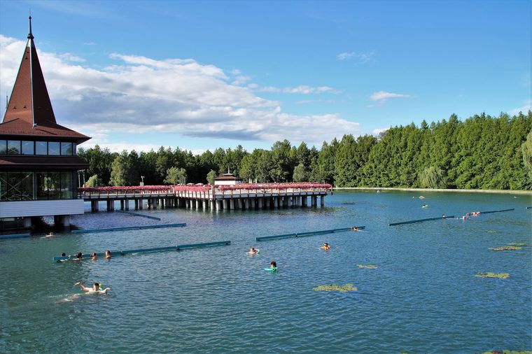 Baigneurs flottant avec des frites en mousse dans les eaux fumantes du lac thermal de Hévíz, entourés de nénuphars