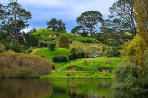 Les trous de Hobbits et les collines verdoyantes de la Comté à Matamata