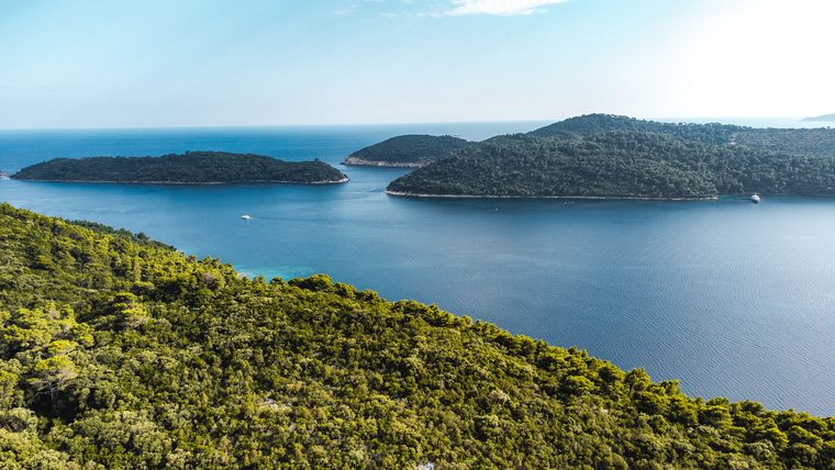 Les lacs salés du parc national de Mljet entourés de pins