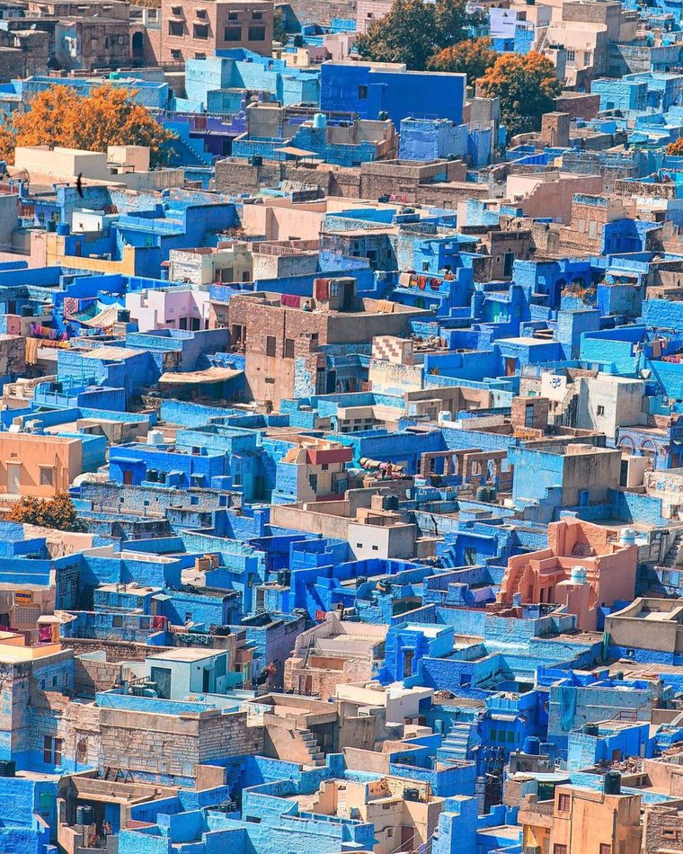 Vue sur les maisons bleues de Jodhpur depuis les remparts du fort Mehrangarh
