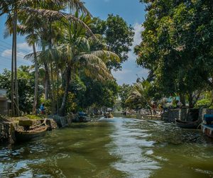 Une petite barque glissant sur les canaux étroits des Backwaters, bordés de cocotiers
