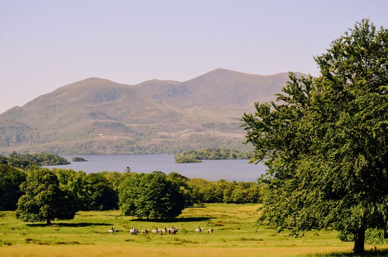 Vue sur les lacs de Killarney et les montagnes depuis Ladies View