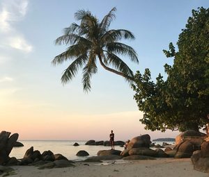 Plage de sable blanc et palmiers à Koh Pha Ngan, avec des bateaux longue queue amarrés