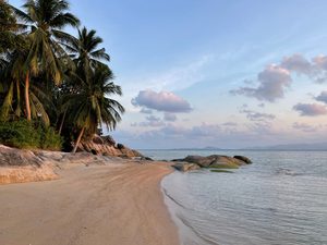 Bateaux traditionnels sur une plage de sable clair à Koh Samui