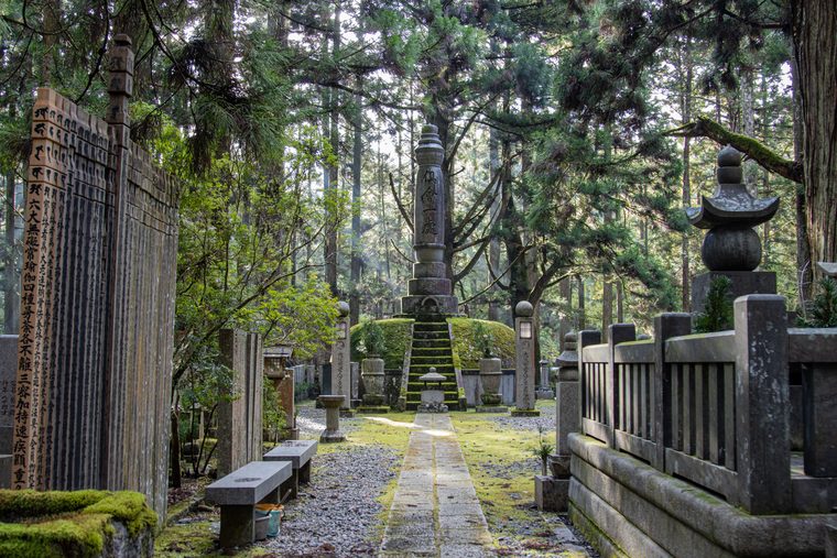 Le cimetière d'Okunoin sous les cèdres centenaires dans la brume