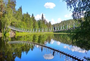 Un pont suspendu au-dessus des rapides de la rivière Oulanka entouré par la forêt boréale