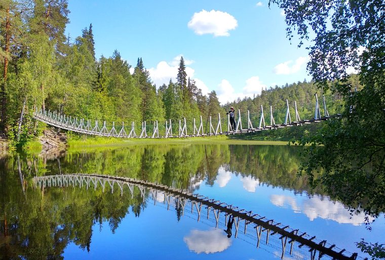 Un pont suspendu au-dessus des rapides de la rivière Oulanka entouré par la forêt boréale