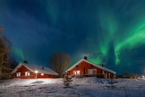 Forêt enneigée et aurore boréale en Laponie finlandaise