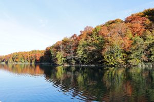 Un lac entouré de forêts de sapins dans le parc naturel du Morvan