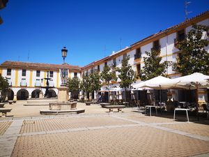 La Plaza de los Naranjos dans la vieille ville de Marbella