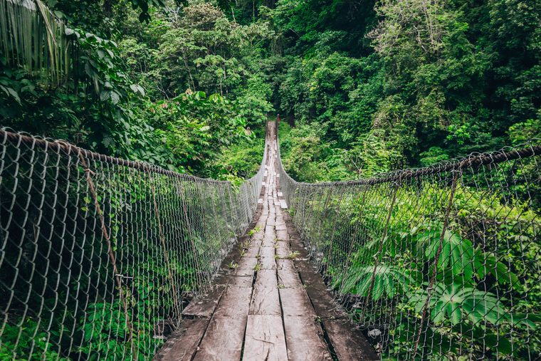 Un pont suspendu traversant la brume épaisse de la forêt de nuages de Monteverde