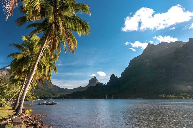Vue sur la baie de Cook et le mont Rotui à Moorea