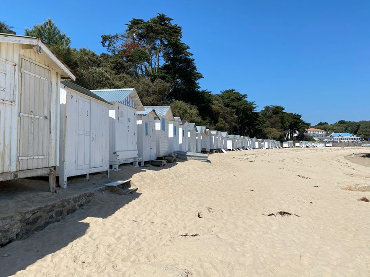 Les cabanes blanches de la plage des Dames entourées de pins maritimes