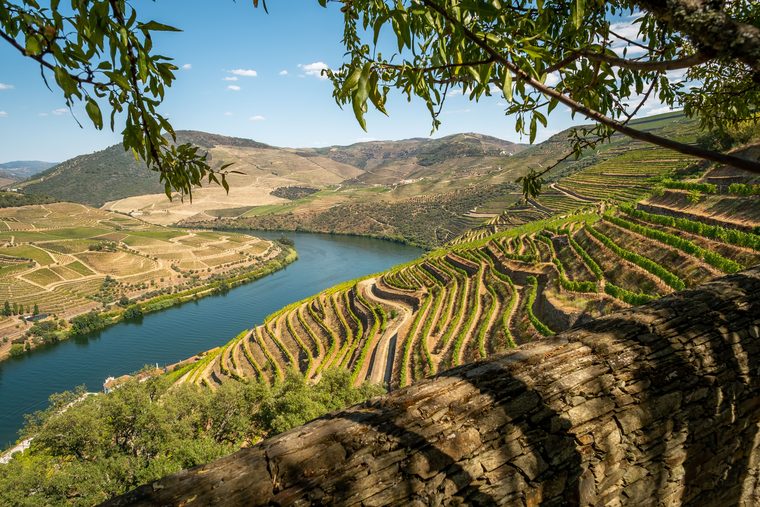 Les collines en terrasses de la vallée du Douro