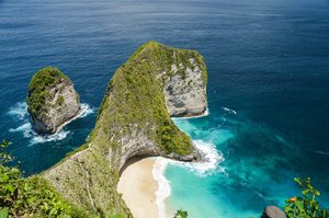 La falaise en forme de T-Rex surplombant la plage de Kelingking Beach à Nusa Penida