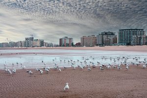 La promenade Albert Ier et la plage d'Ostende sous le soleil