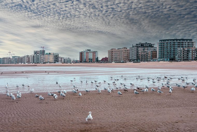 La promenade Albert Ier et la plage d'Ostende sous le soleil