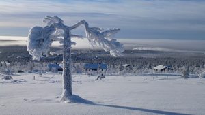 Paysage enneigé des monts de Pallas-Yllästunturi en Laponie