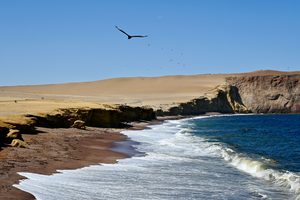 Le désert aride de la réserve de Paracas plongeant dans l'océan Pacifique