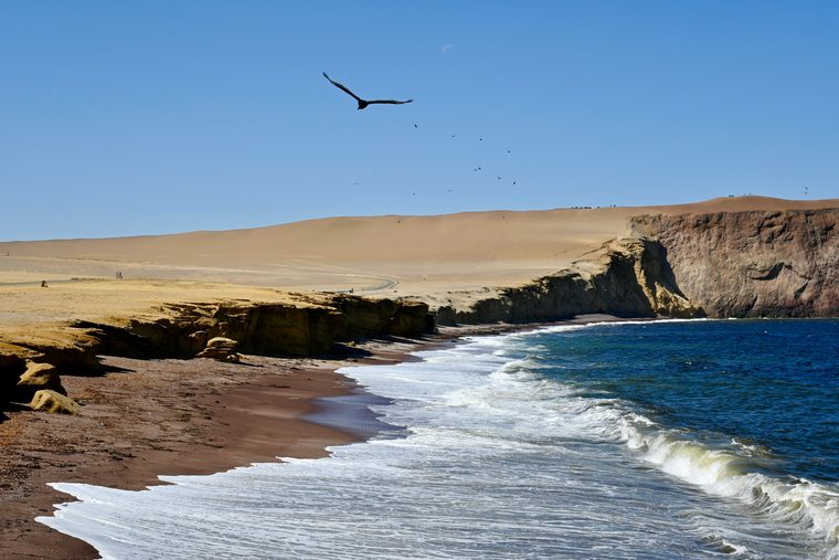 Le désert aride de la réserve de Paracas plongeant dans l'océan Pacifique