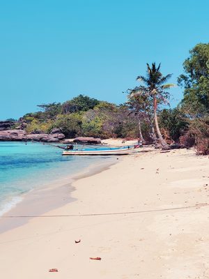 Plage de sable blanc, cocotiers et barques traditionnelles à Phú Quốc