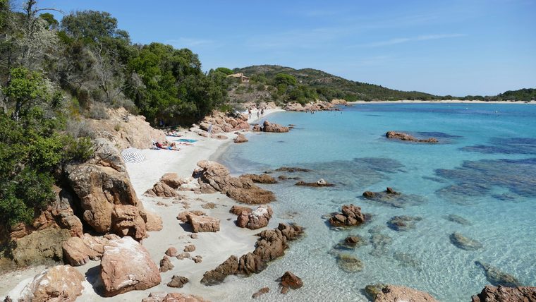 Les rochers rouges et les pins parasols sur une plage près de Porto-Vecchio