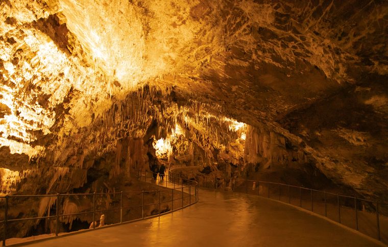 Les galeries éclairées de la grotte de Postojna