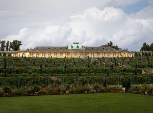 Les terrasses en vignes du château de Sanssouci à Potsdam