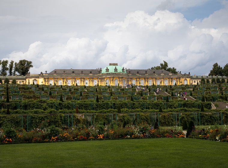 Les terrasses en vignes du château de Sanssouci à Potsdam