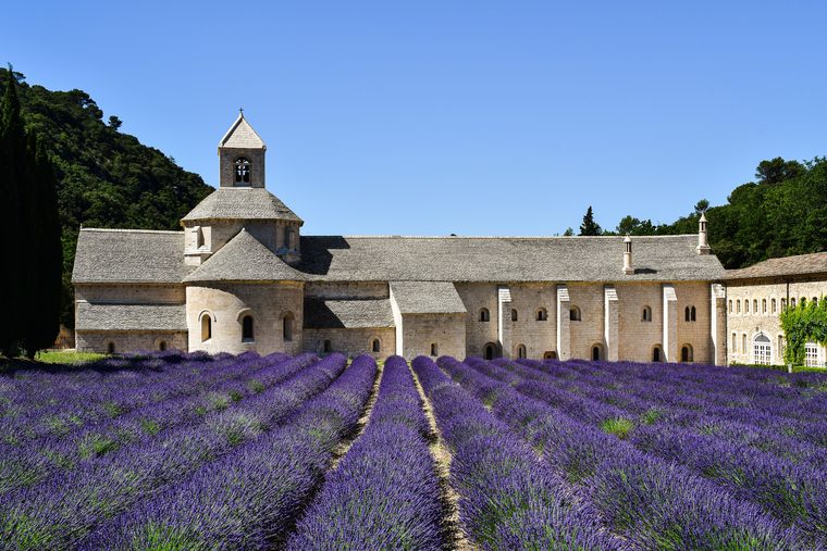 Un champ de lavande devant l'abbaye de Sénanque en Provence