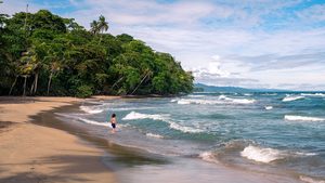Plage bordée de palmiers et jungle luxuriante à Puerto Viejo de Talamanca