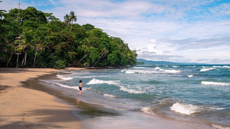 Plage bordée de palmiers et jungle luxuriante à Puerto Viejo de Talamanca